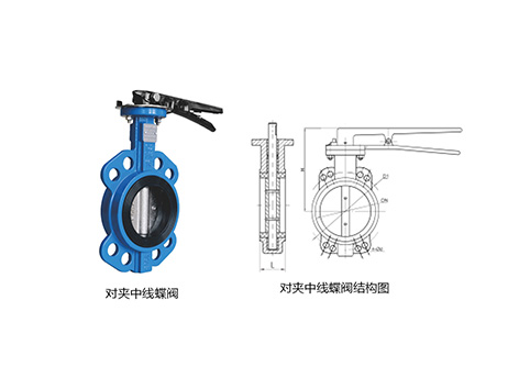 甄易对夹中线蝶阀结构解析